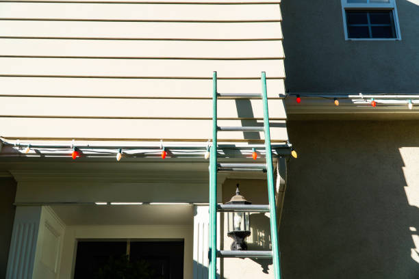 Best Custom Trim and Detailing for Siding  in Blue Ash, OH