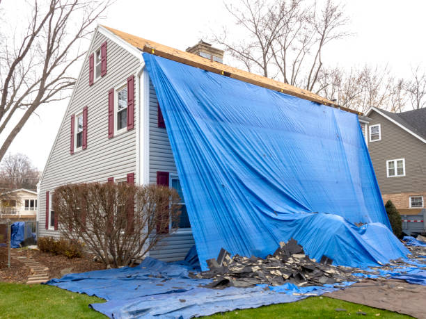 Best James Hardie Siding  in Blue Ash, OH