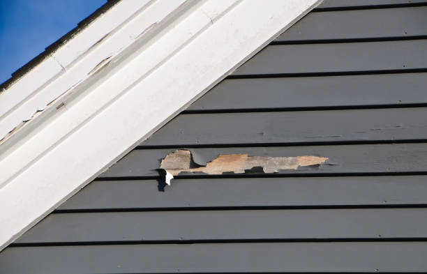Best Siding Painting and Refinishing  in Blue Ash, OH