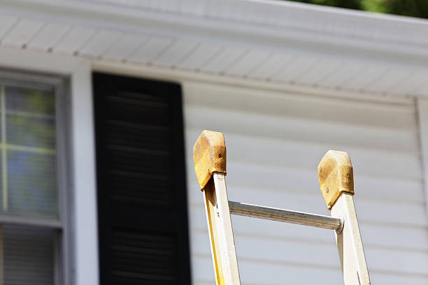 Best Historical Building Siding Restoration  in Blue Ash, OH